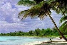 Saona Island